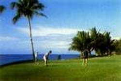 Playa Dorada: Golf