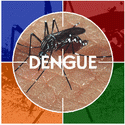 Séctor Ambiante Dengue